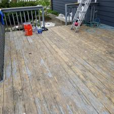 Deck Restoration and Exterior Painting in Park Ridge, IL 4