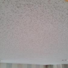 Interior Painting of Walls, and Trim - Popcorn Ceiling Removal in Northbrook, IL 8